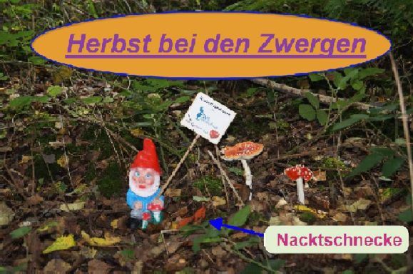 Bunte Figuren im Wald, mit einem Schild und herbstlichen Pilzen.